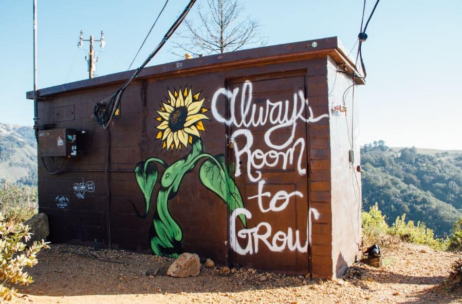 Painting of flower and words always room to grow depicting Diag Partners Growing