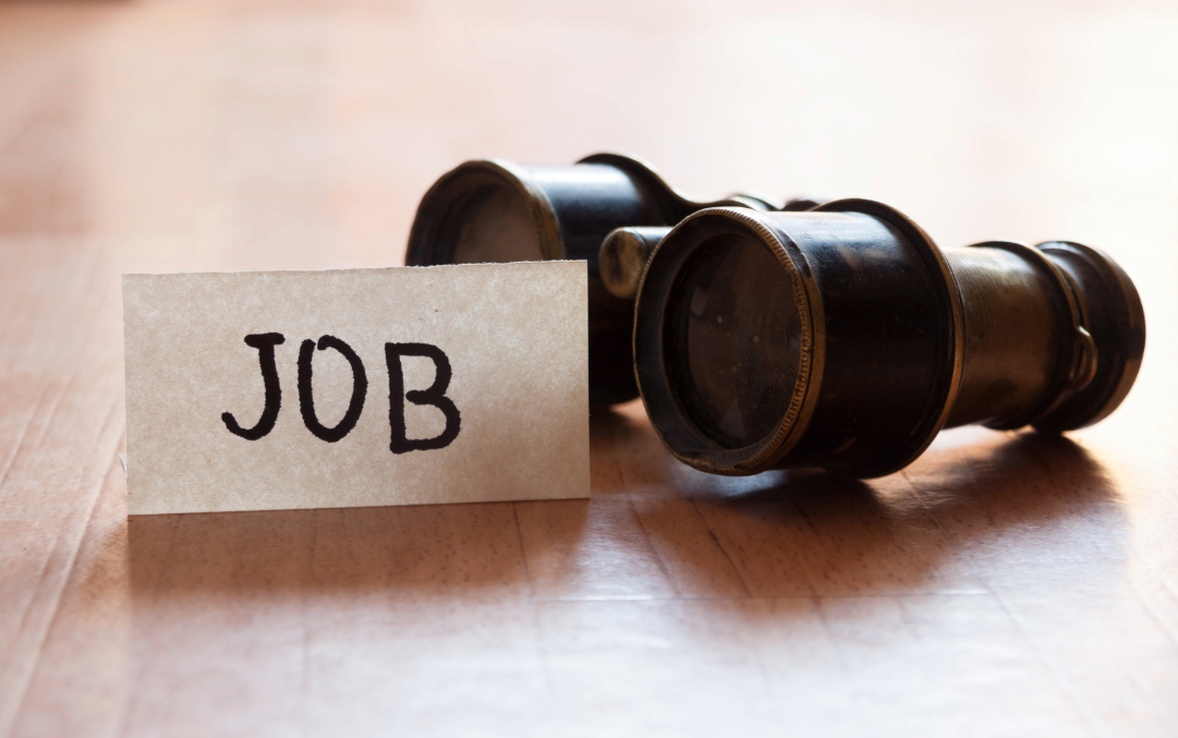 Professional candidate in career consultation